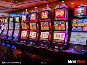 huskypg - Slot Oficial Login