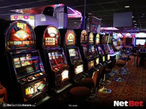 huskypg - Cassino Fácil Login