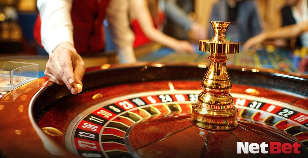huskypg - Registro Bet Oficial